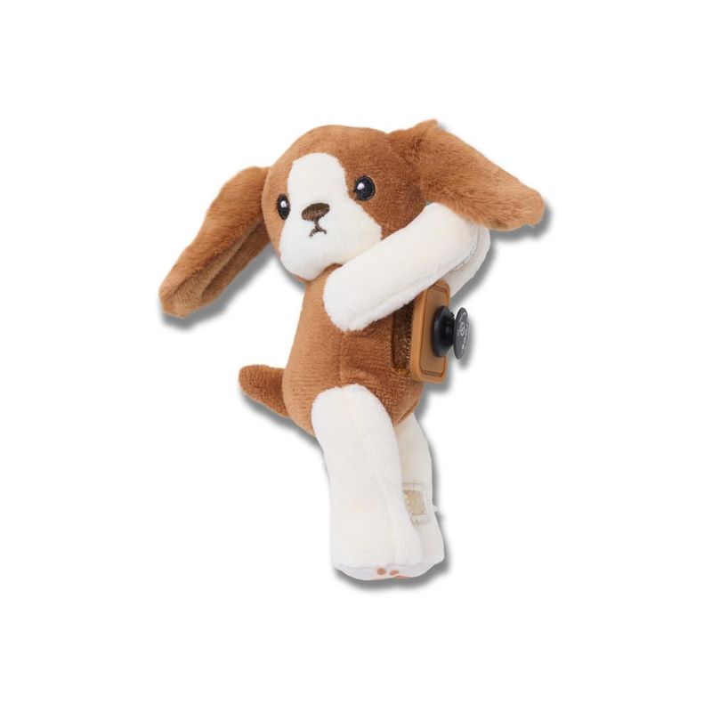 Jibbitz™ Huggitz King Charles Spaniel UNICO