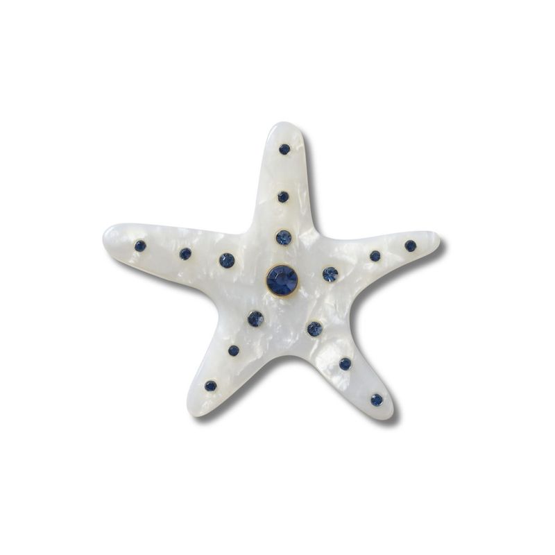 Estrela do Mar Prata - imagem 1
