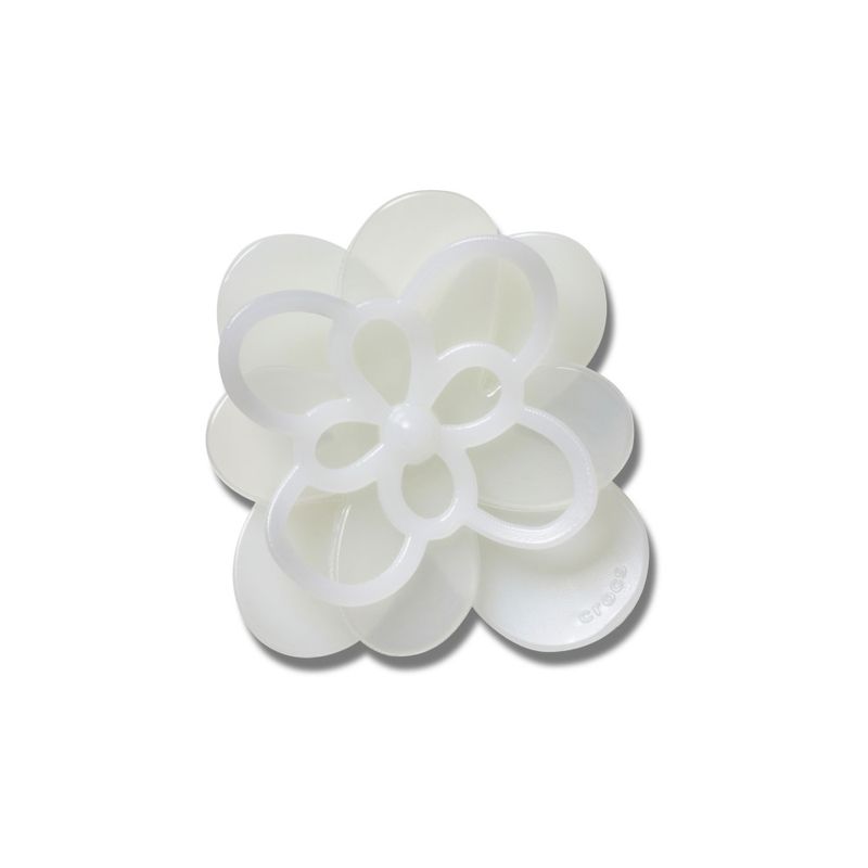 Flor Branca Florescendo 1 - imagem 1
