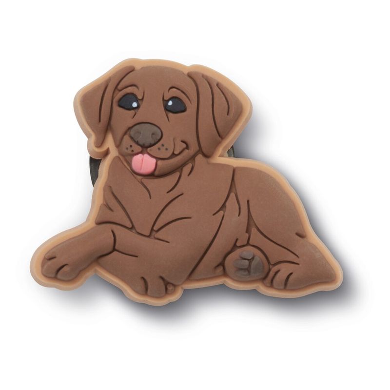 Filhote Labrador Marrom