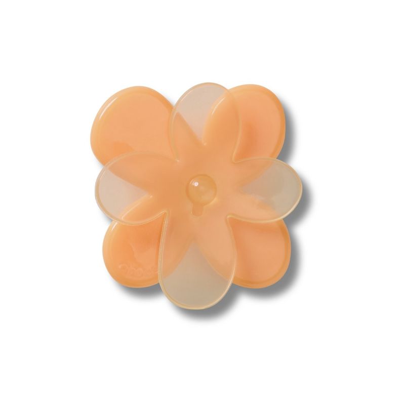 Flor Laranja Florescendo - imagem 1