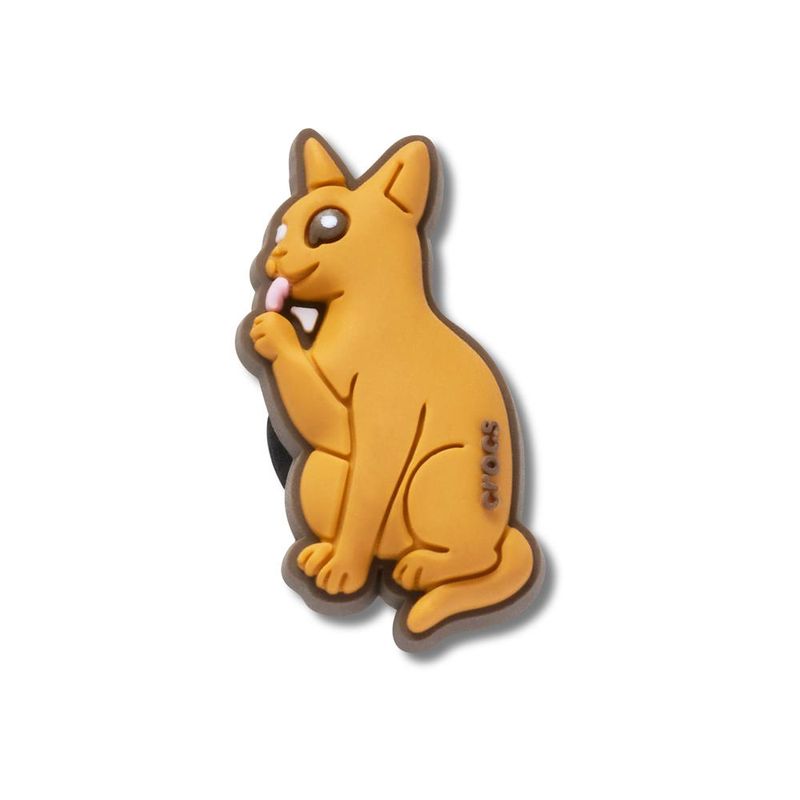 Gato Abissínio - imagem 1