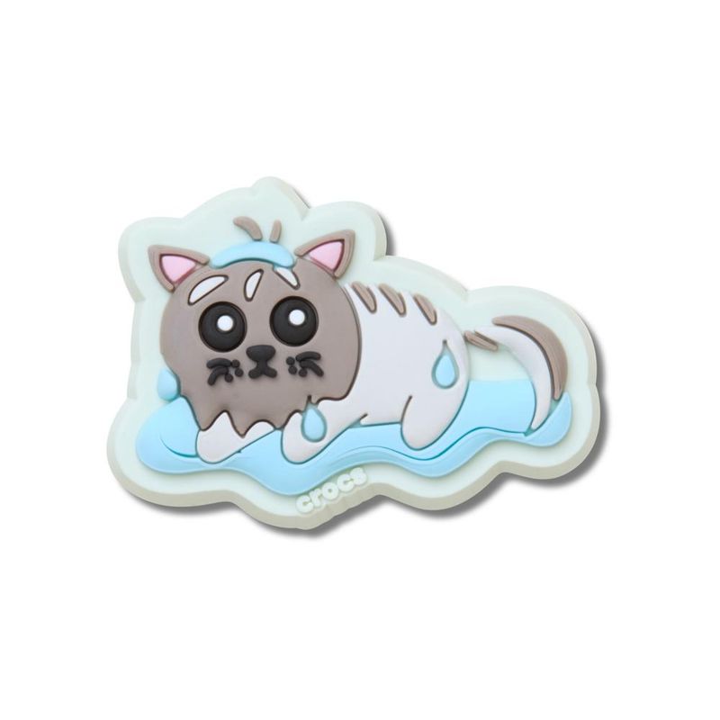 Gato Molhado - imagem 1
