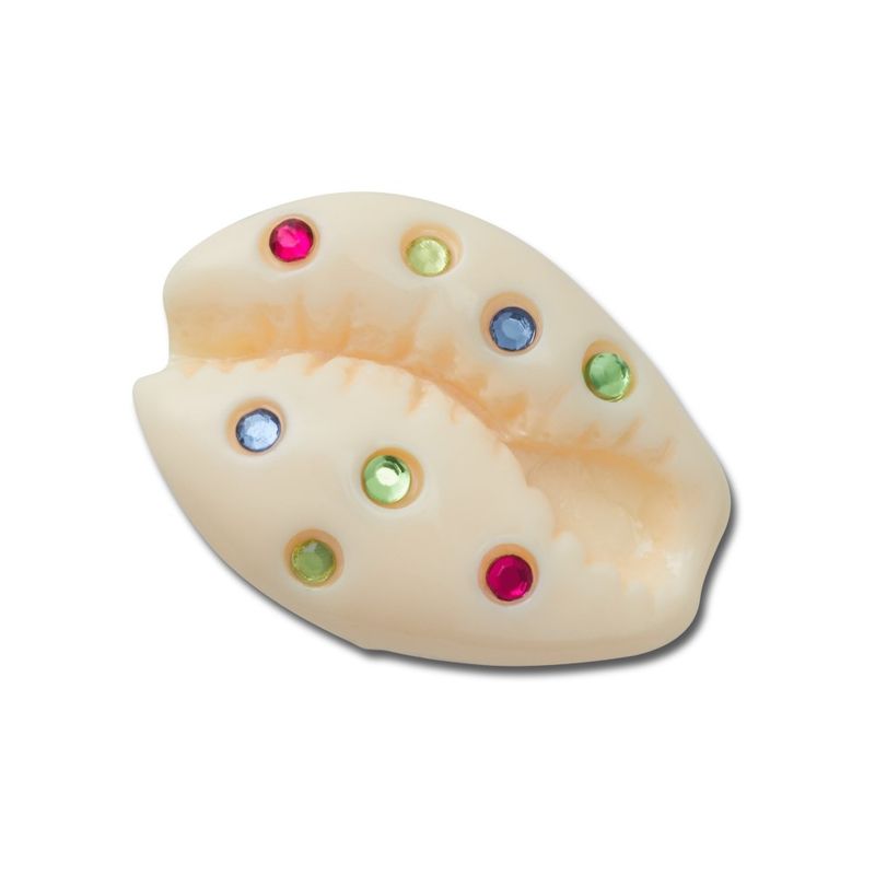 Jibbitz™ Concha Puka com Gemas UNICO - imagem 1