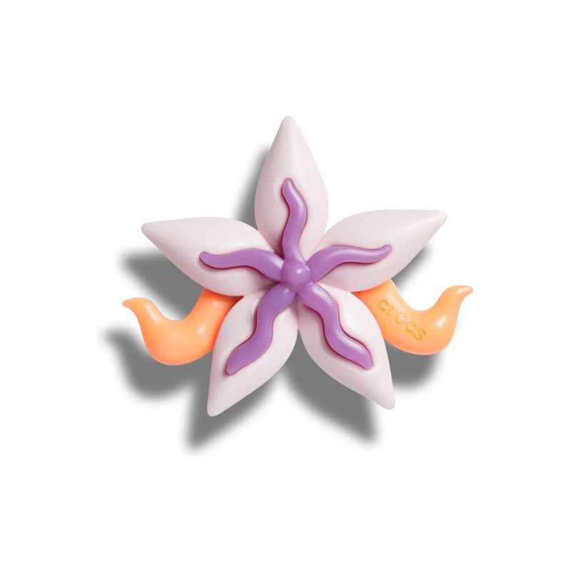 Flor Colorida - imagem 1