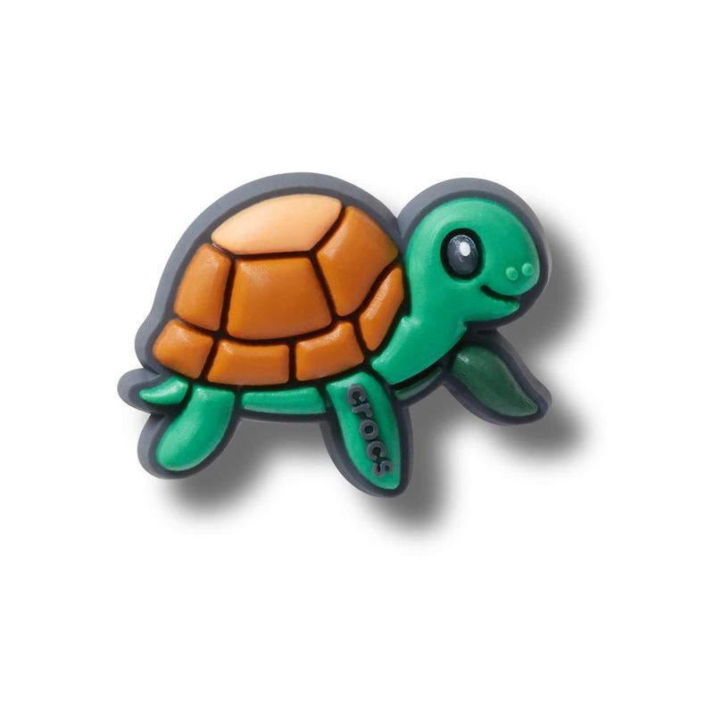 Tartaruga de Estimação - imagem 1